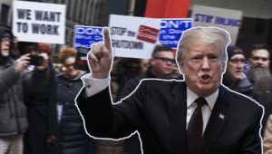 US-Star-Ökonom Robert Shiller: Lasst Donald Trump seine Mauer haben