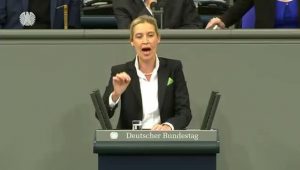 Falsche Spenderliste: AfD soll Bundestag getäuscht haben