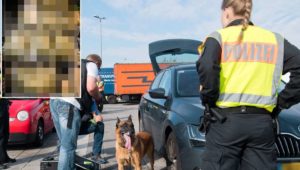 Zoll öffnet Kofferraum von Auto – Fund auf Autobahn macht Beamte fassungslos