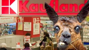 Kaufland: Streit vor Supermarkt eskaliert – Polizei sucht jetzt nach Lama