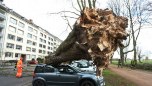 Sturm fegt über Deutschland: Baum erschlägt Mann – Montag „erhebliche Beeinträchtigungen“ bei Bahn