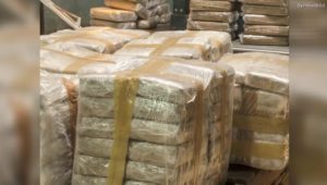 Halbe Tonne Kokain bei Aldi entdeckt – Polizei durchsucht weitere Filialen