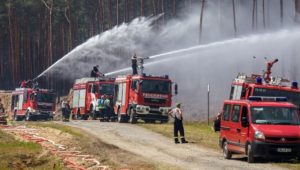 Waldbrand in Lübtheen: Verdächtiger Mann festgenommen
